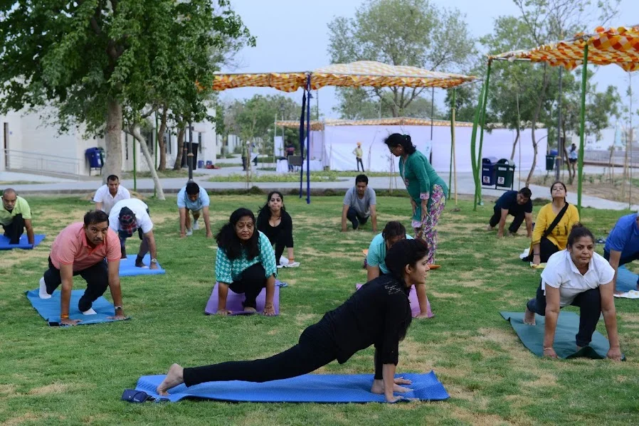Corporate Yoga Outdoor Session