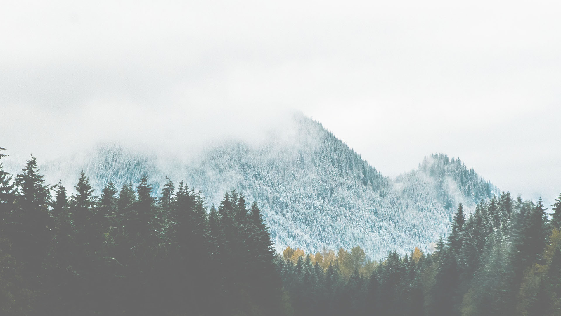 Yoga Studio in Jaipur